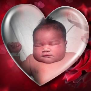 Meet your Posher, Lee